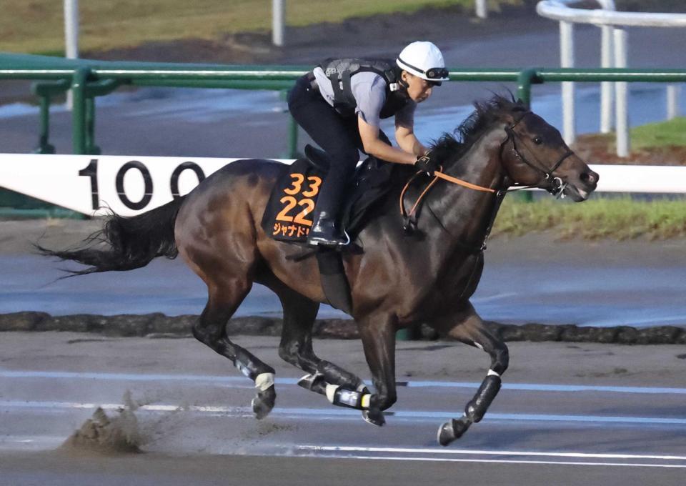 　新潟競馬場のダートコースで追い切ったジャナドリア