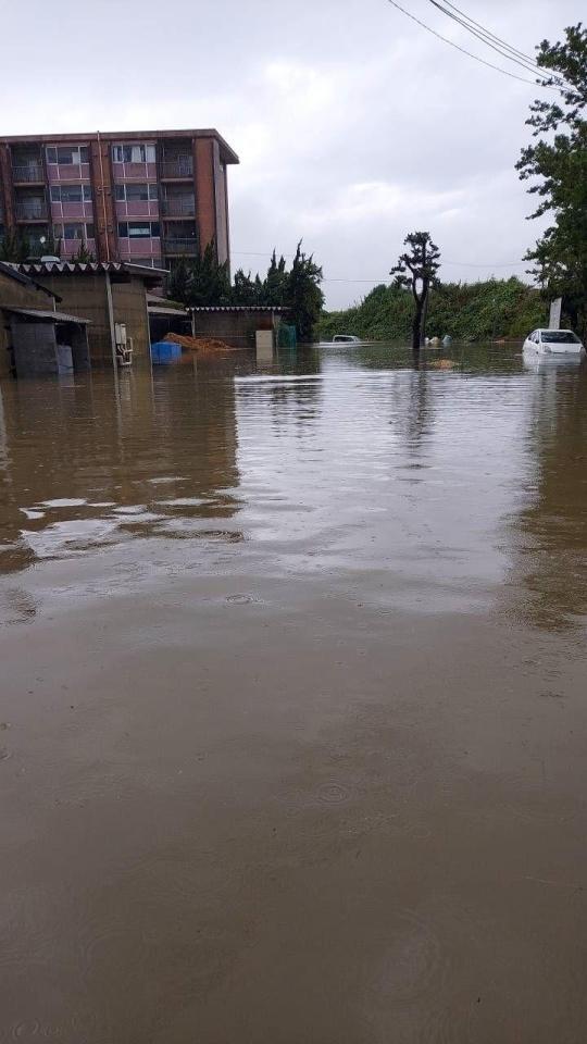 　記録的大雨の影響で水没した金沢競馬場（佐藤茂師提供）