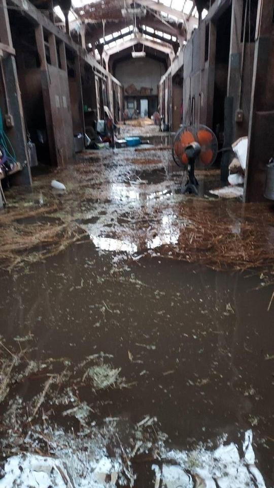　記録的大雨の影響で水没した金沢競馬場内の厩舎（佐藤茂師提供）