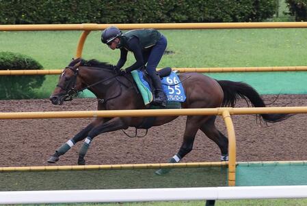 　ウィリアムバローズ