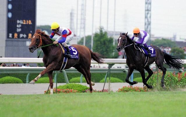 98＆99年有馬記念などG1・4勝のグラスワンダー死す 30