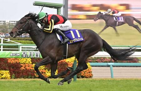 　４月、皐月賞を制したミュージアムマイル