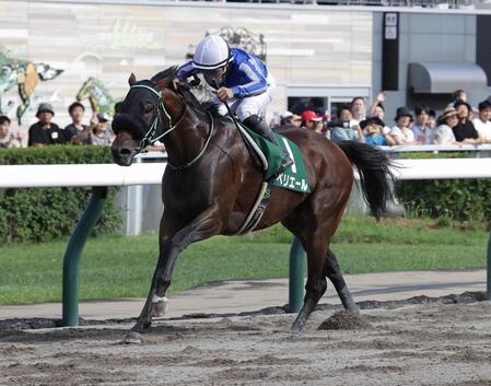 エルムＳを制したペリエール