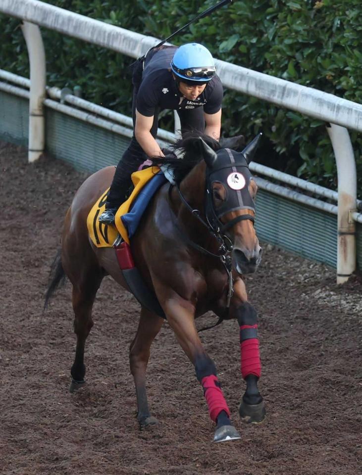 　ジューンブレア