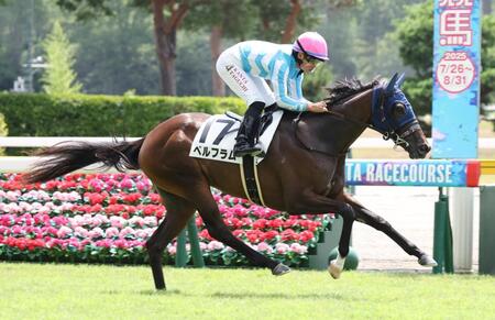 　デビュー戦を勝利したベルフラム