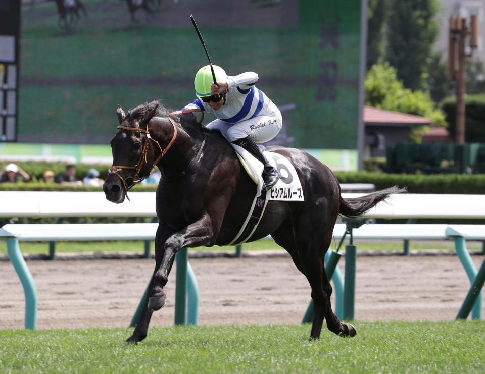 　新馬戦を制したヒシアムルーズ