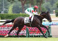 　逃げ切ったオルネーロ