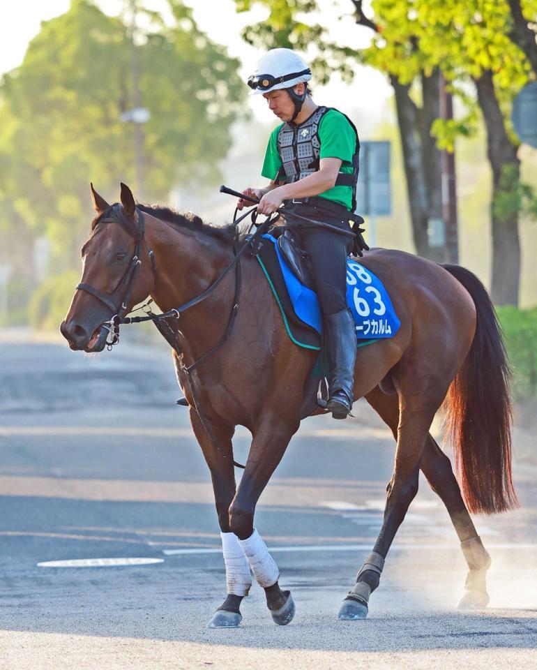 　重賞連勝を狙うキープカルム