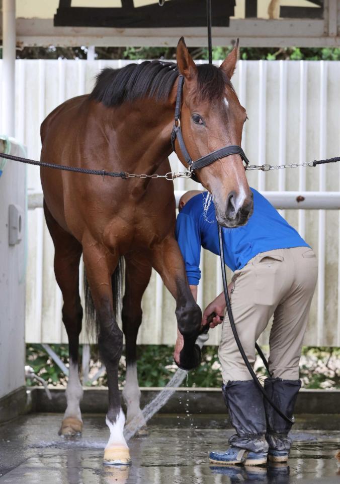 　逆襲に燃えるステレンボッシュ