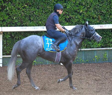 　ヤマニンアルリフラ