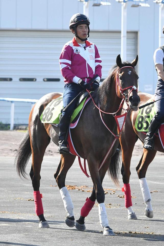 　レースに向け調整されるジーティーメティオ