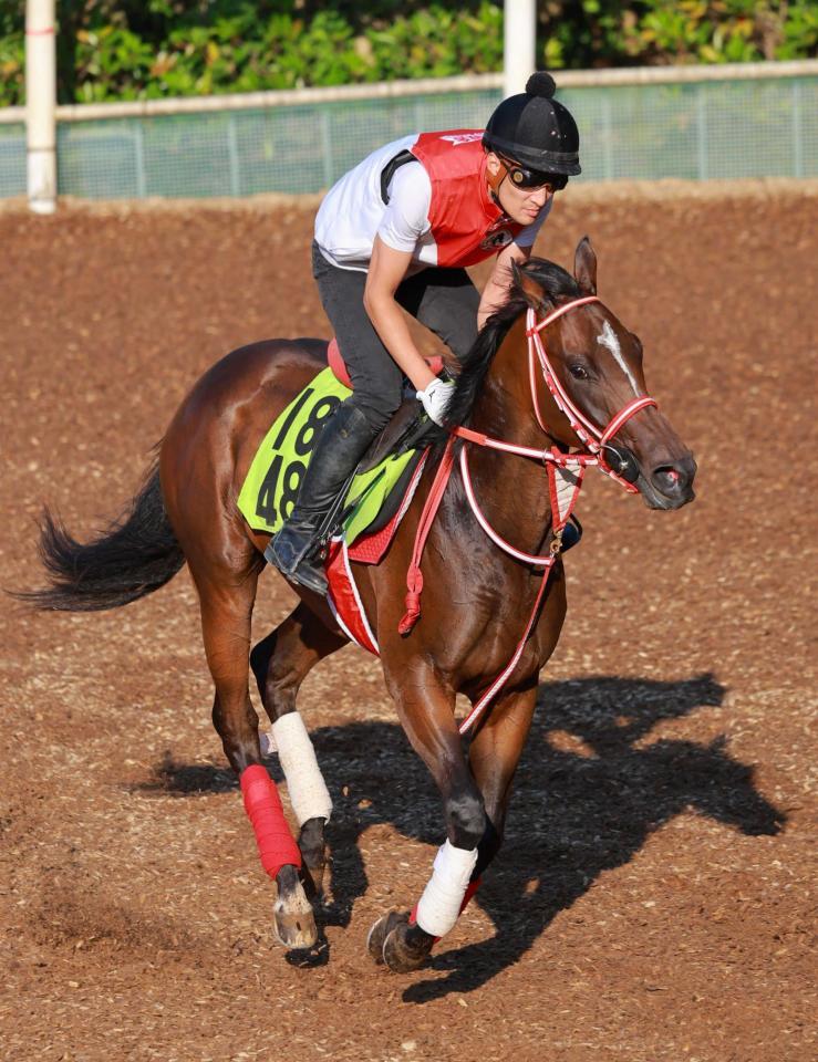 　スウィッチインラヴ