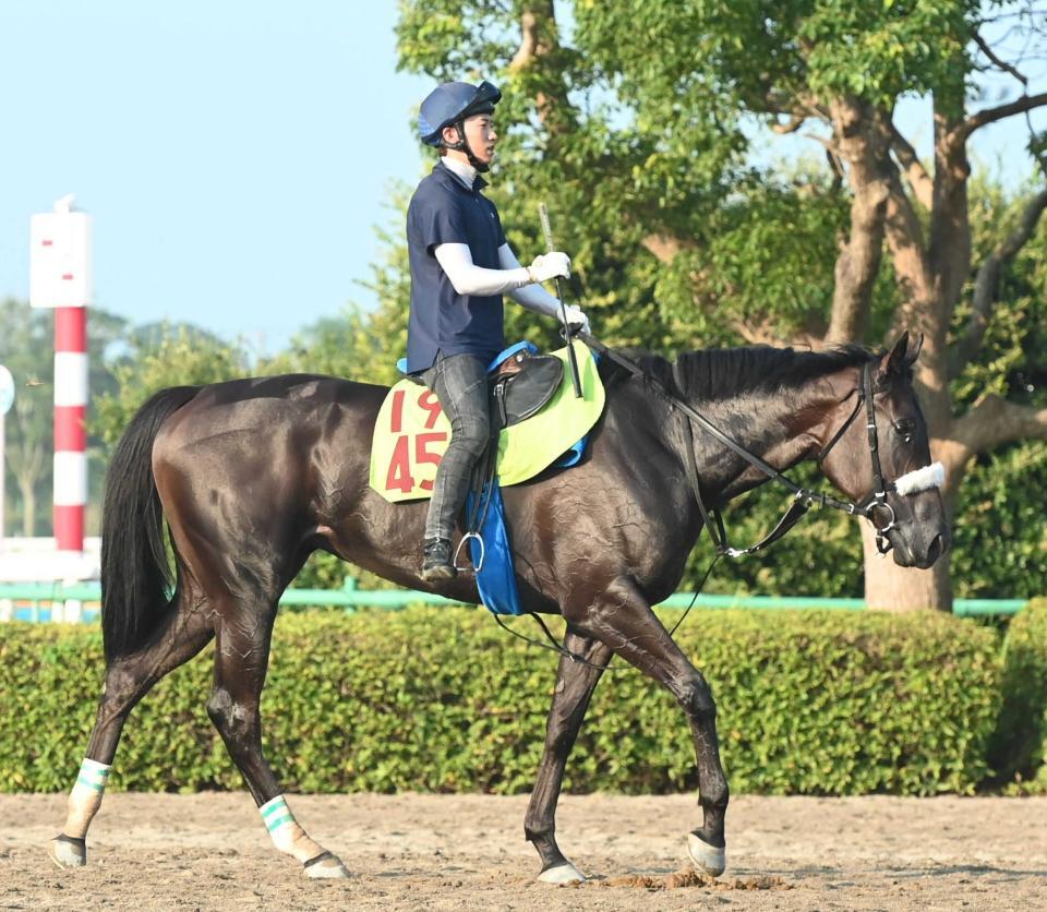 　ジャストマイウェイ