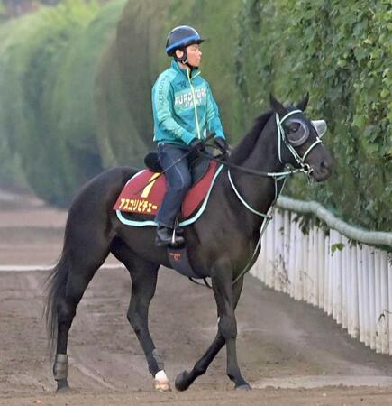 　アスコリピチェーノ