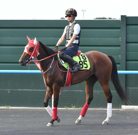 　デビュー戦に向け調整されるナオミライトニング