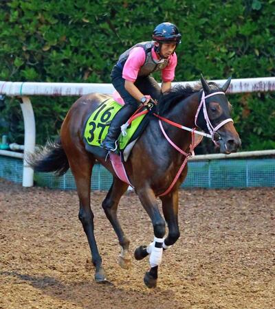 　ジーティービキニ