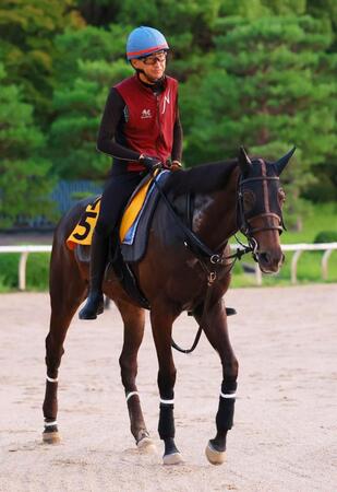 　ミッキーツインクル