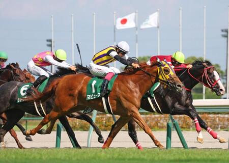 　中京記念を制したマピュース（中央）