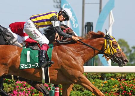 　中京記念を制した横山武騎乗のマピュース（手前）