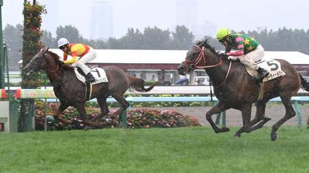 　新馬戦を制したジャスティンシカゴ（左）＝撮影・持木克友