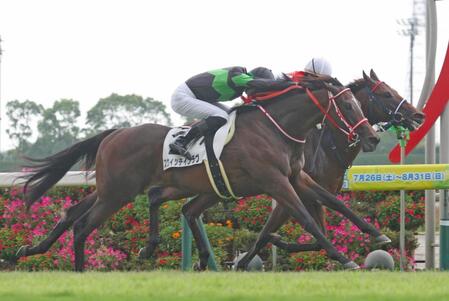 　新馬戦を制したスウィッチインラヴ（手前）