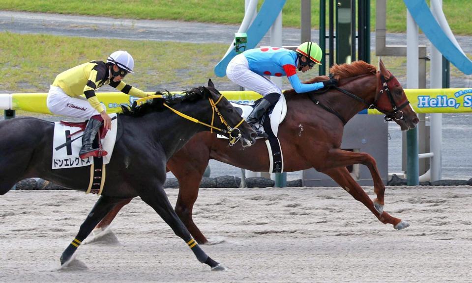 　新馬戦を制したキーンセンス（右）