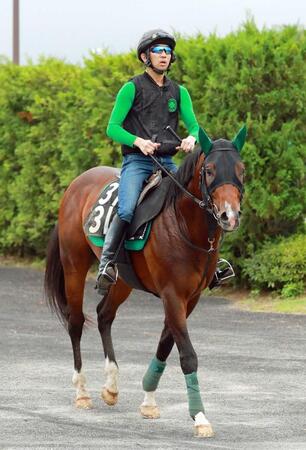 　データ班イチ推しのレイピア