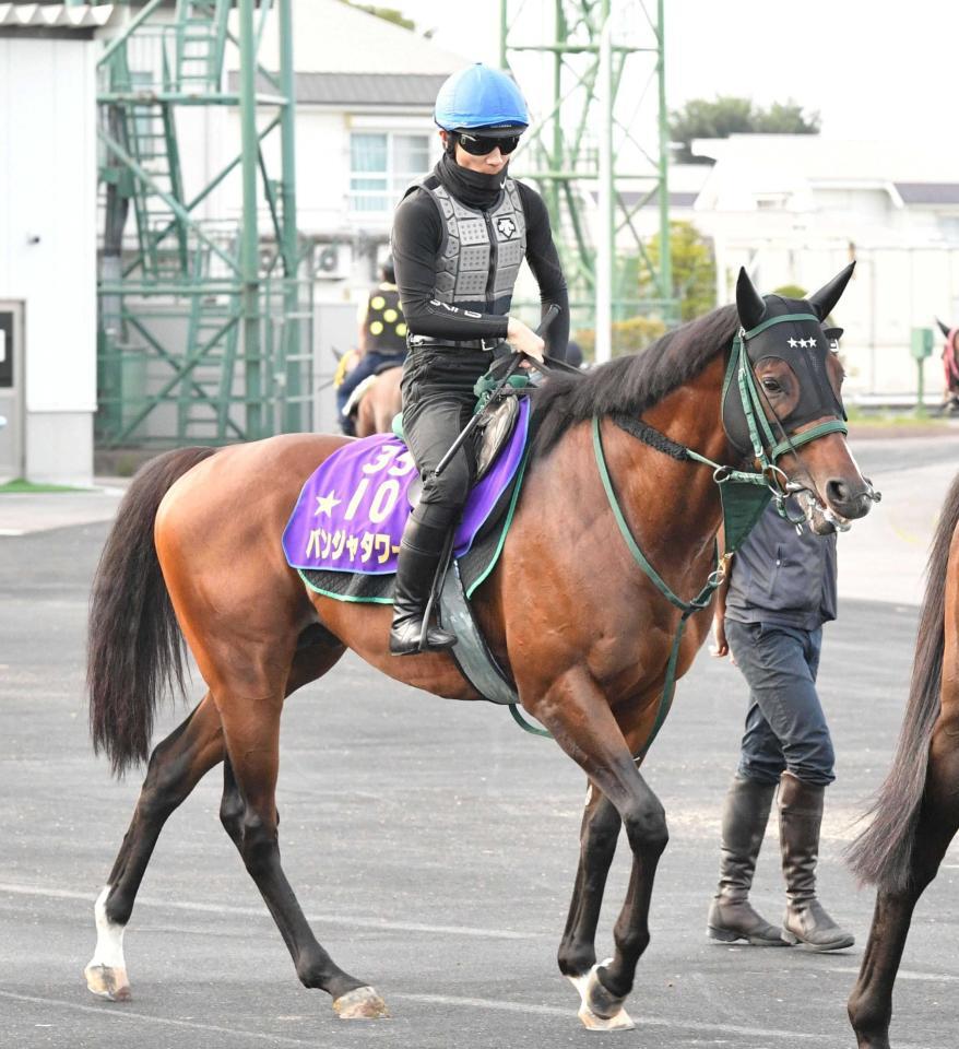 　飛躍の秋へ向けて始動するパンジャタワー