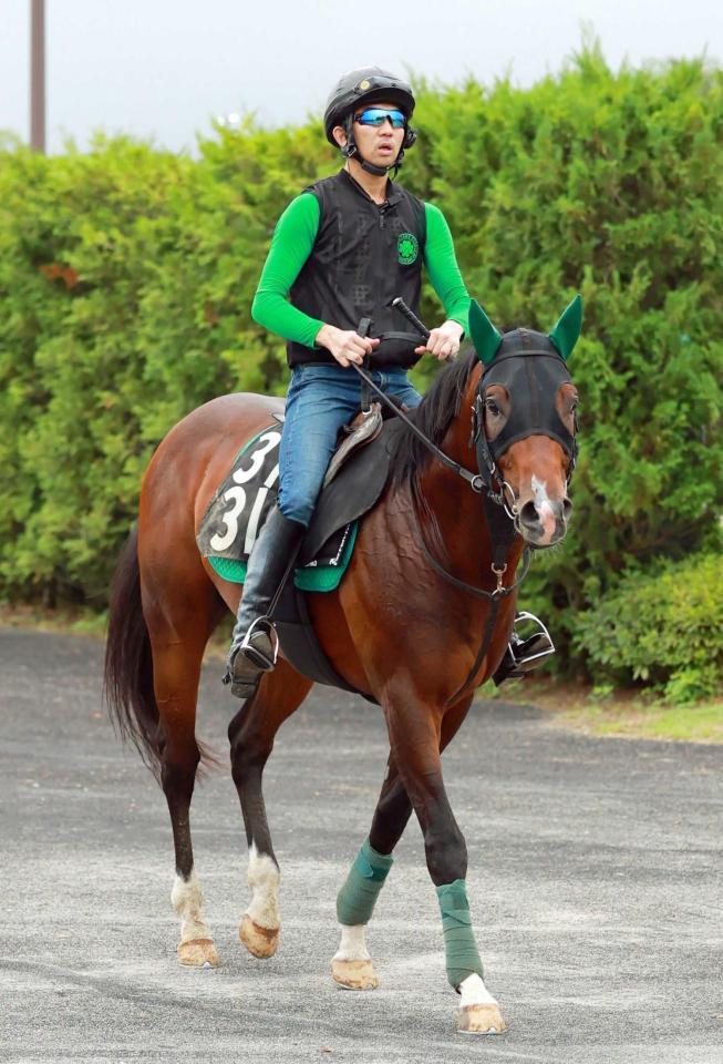 　データ班イチ推しのレイピア