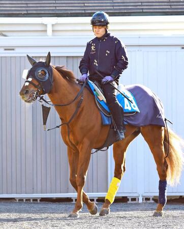 　サンライズフレイム