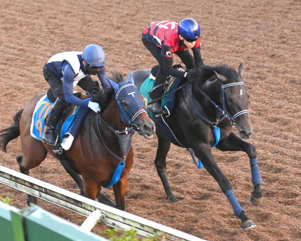 　新種牡馬の父譲りの完成度で臨むリアライズシリウス（右）＝撮影・園田高夫