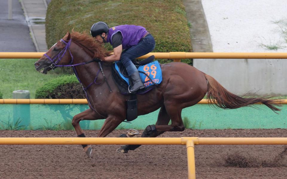 　８歳でも健在ぶりをアピールしたウインカーネリアン