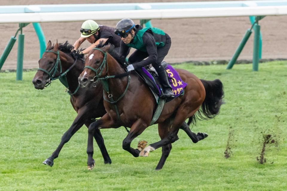 　札幌芝でサトノクローク（奥）と併せ、力強い動きを見せたパンジャタワー（手前）