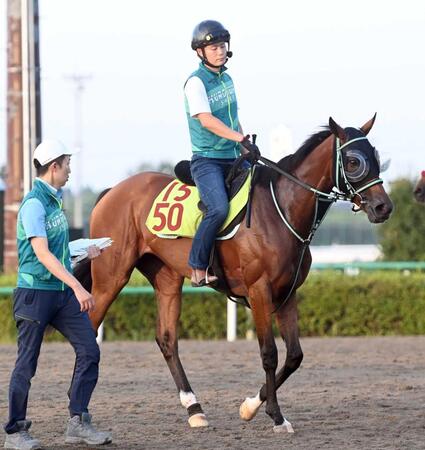【新馬戦】魅力ある血統・カルダモン 仕上がりは上々! 黒岩師「まだ線が細いが、跳びが大きくて長くいい脚を使うタイプ」