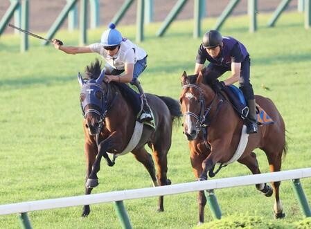 【新馬戦】ウインベルチェーロ　半姉はＧ１馬・ウインマリリン　横山武「良くも悪くも姉に似ている。モノは悪くない」