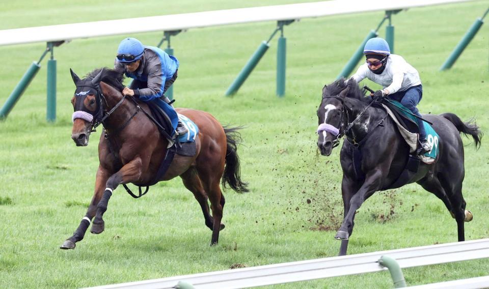 　佐々木を背に追い切られるカルロヴェローチェ（左）