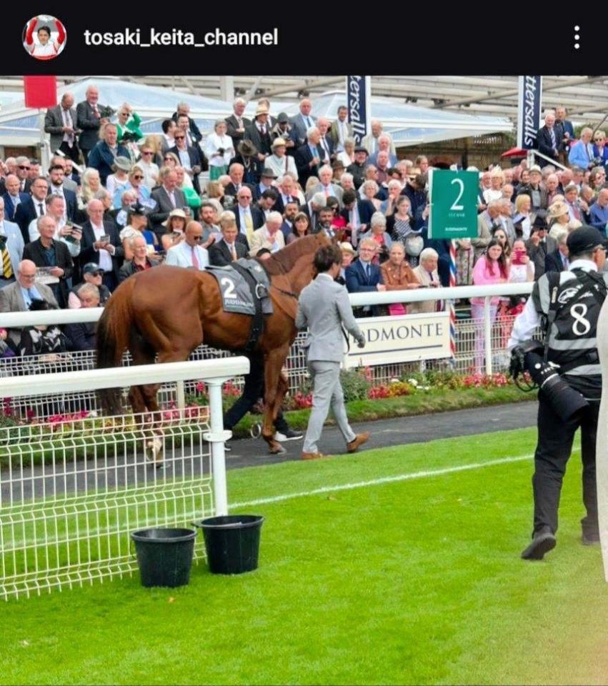 戸崎圭太のインスタグラム＠ｔｏｓａｋｉ＿ｋｅｉｔａ＿ｃｈａｎｎｅｌから