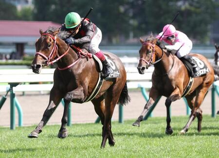 　大外から突き抜けたストームサンダー（左）