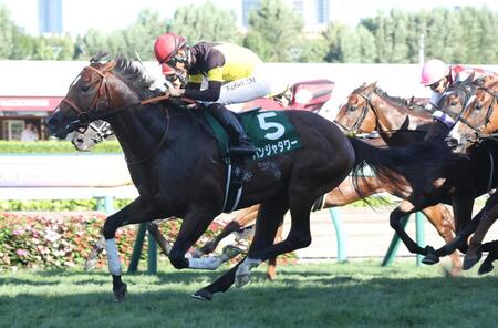 【キーンランドC】G1馬パンジャタワーが貫禄の重賞3勝目 松山は全10場重賞制覇