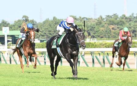 　新潟２歳Ｓを圧勝したリアライズシリウス（中央）＝撮影・園田高夫