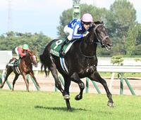 　新潟２歳Ｓを４馬身差で圧勝したリアライズシリウス（撮影・園田高夫）