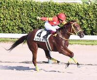 　新潟１２Ｒを制したリクエイと今村聖奈（撮影・園田高夫）