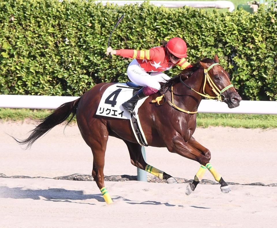 　新潟１２Ｒを制したリクエイと今村聖奈（撮影・園田高夫）