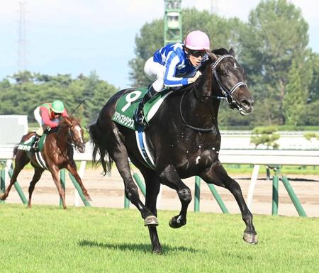　４馬身差をつけて圧勝したリアライズシリウス（撮影・園田高夫）