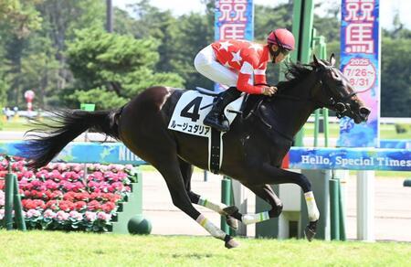 　新馬戦を圧勝したルージュダリア（撮影・園田高夫）