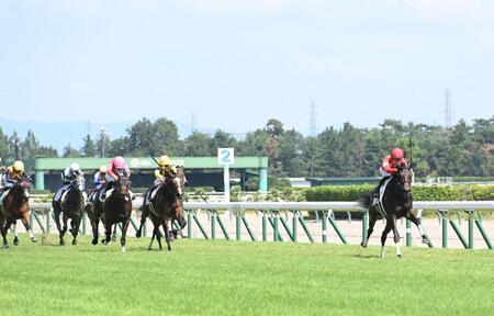 　新馬戦を圧勝したルージュダリア（右）＝撮影・園田高夫
