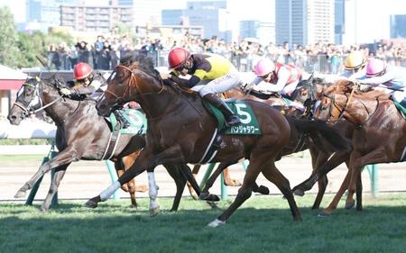 　外から差し切ったパンジャタワー