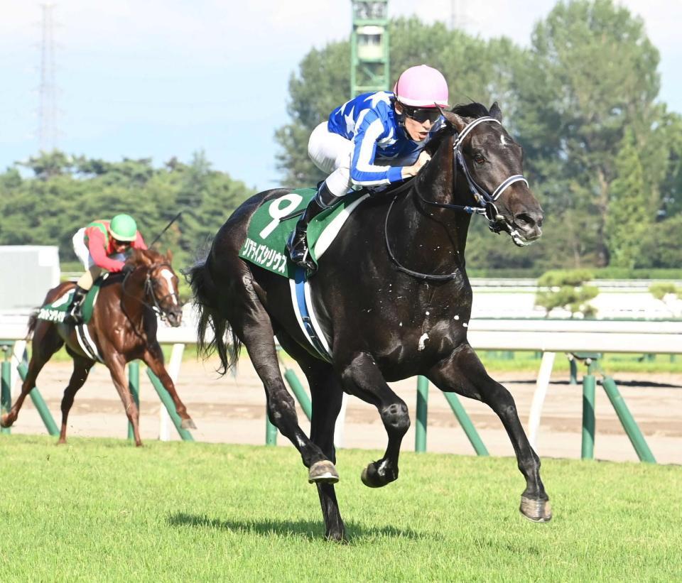 　４馬身差をつけて圧勝したリアライズシリウス（撮影・園田高夫）