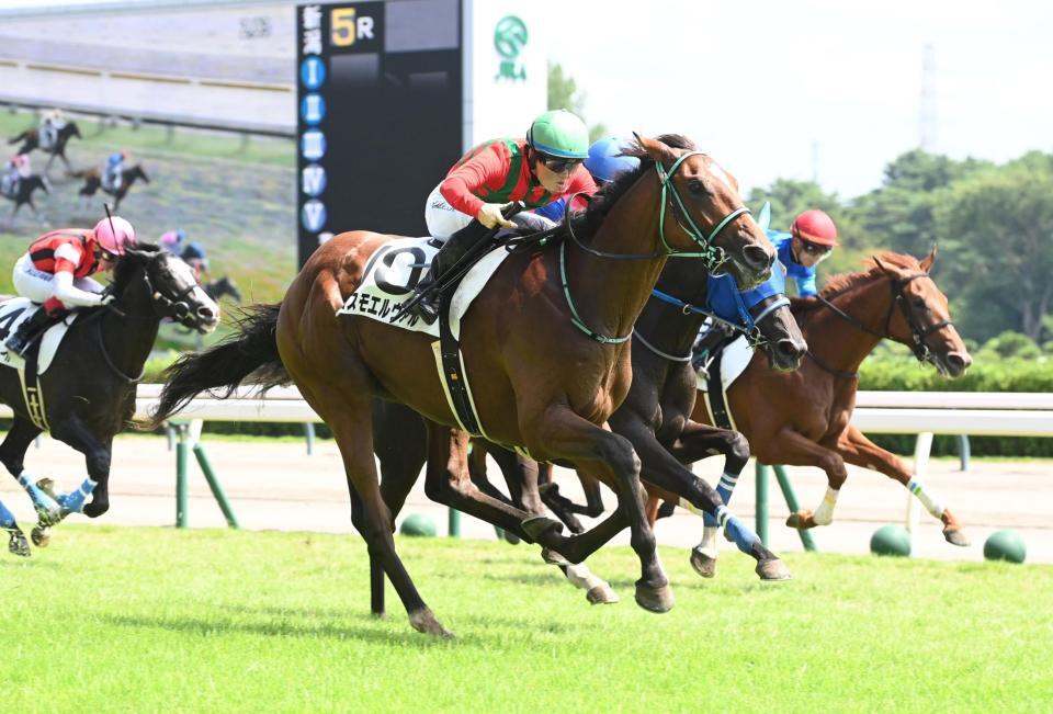 　新馬戦を勝利したコスモエルヴァル（撮影・園田高夫）