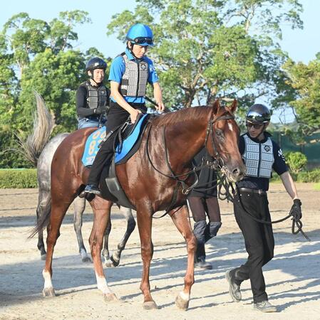 　七夕賞に続く重賞タイトルを狙うコスモフリーゲン
